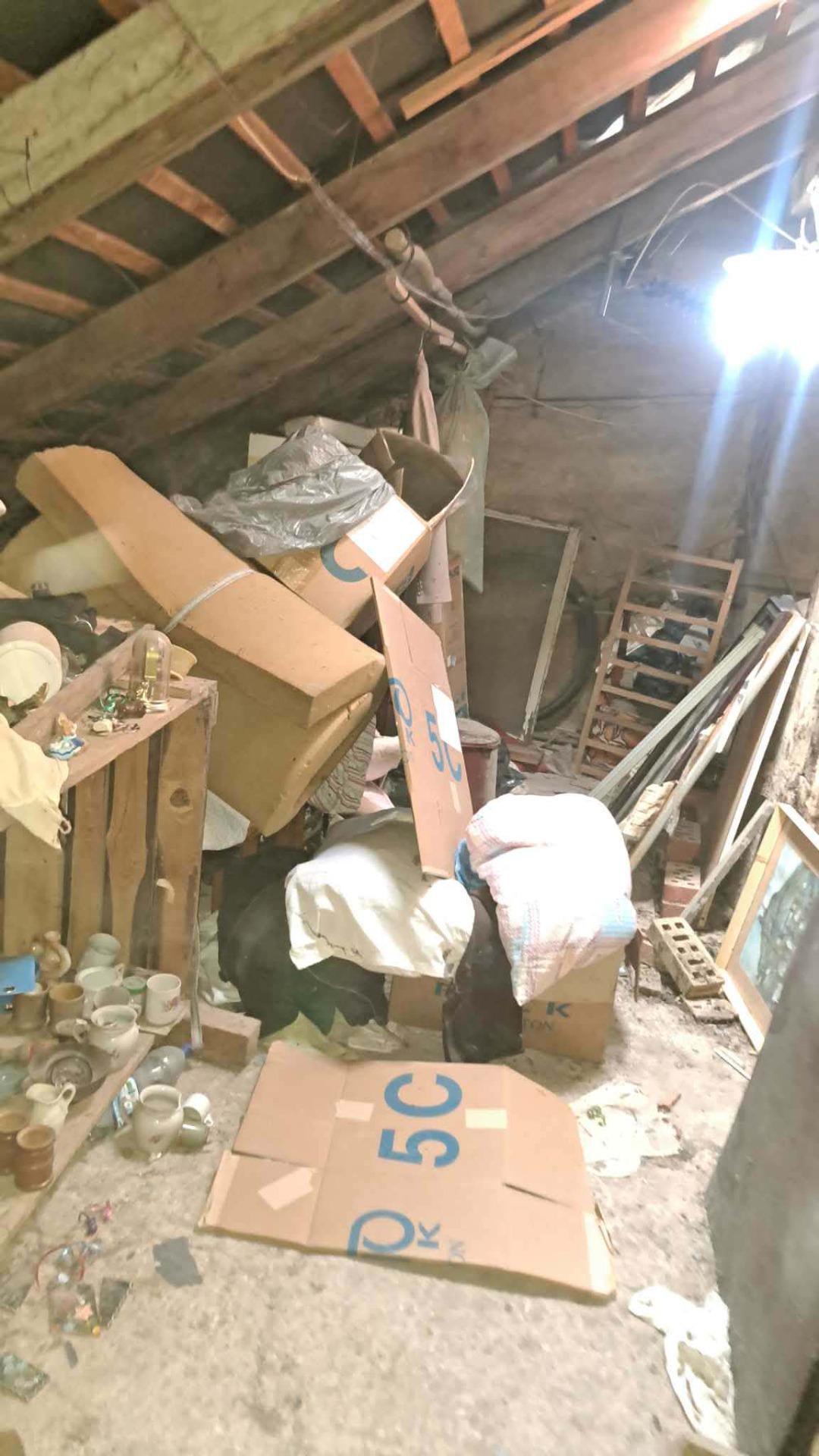 Lomtalanítás Balatonbogláron